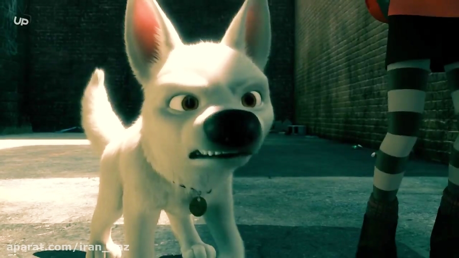 انیمیشن تیزپا-کارتون تیزپا-تیزپا